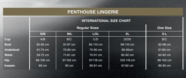 Бодістокінг комбінезон з імітацією ліфа Penthouse High Profile SO4405 фото