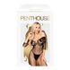 Бодістокінг комбінезон з імітацією ліфа Penthouse High Profile SO4405 фото 3