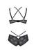 Lace set Passion DROSERA BIKINI (bra and culotte panties), Black, 2XL, 3XL, 2XL/3XL