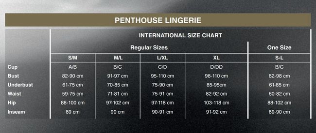 Transparent chemise Penthouse Naughty Doll, Black, L, XL, L/XL