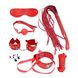Набір MAI BDSM STARTER KIT Nº 75: батіг, кляп, наручники, маска, нашийник з повідцем, мотузка, затискачі, Червоний