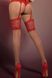 Obsessive Secred Belt Stockings Flesh Red S/M