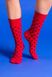 Високі шкарпетки Gabriella SK 008 Cotton 99691 фото 1