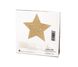 Bijoux Indiscrets Flash Star Nipple Jewelry Gold One Size