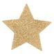 Bijoux Indiscrets Flash Star Nipple Jewelry Gold One Size