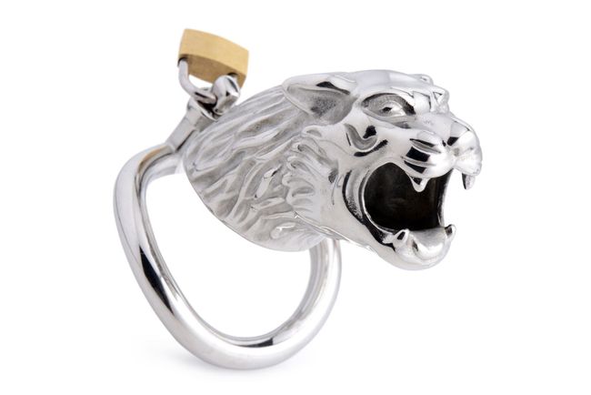 Penis cage Master Series: Tiger King Cock Cage With Lock Silver One Size