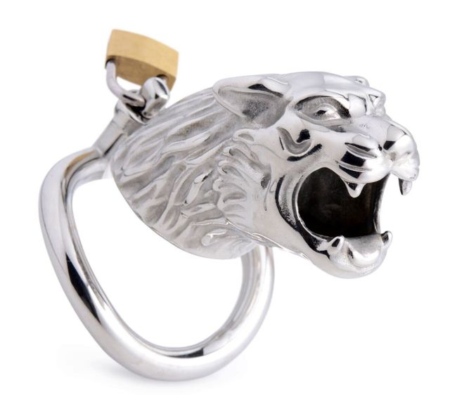 Penis cage Master Series: Tiger King Cock Cage With Lock Silver One Size