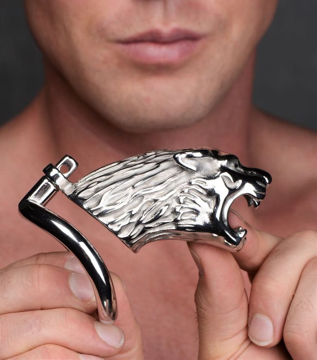 Penis cage Master Series: Tiger King Cock Cage With Lock Silver One Size