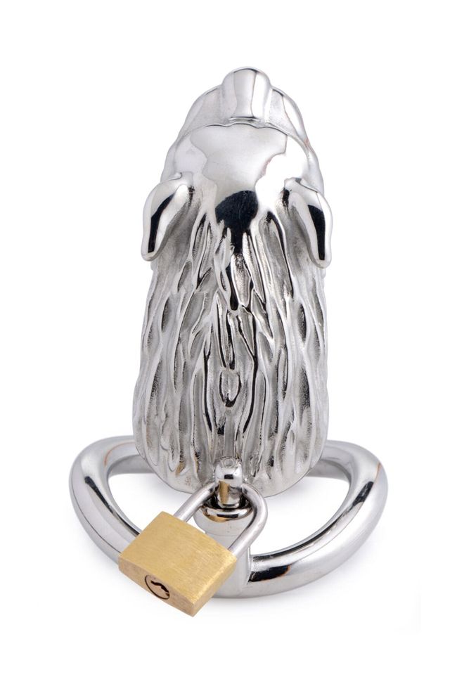 Penis cage Master Series: Tiger King Cock Cage With Lock Silver One Size