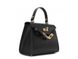 Stylish women's classic bag Firenze Italy F-IT-9866A, Black