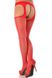 Stockings with belt Gabriella Strip Panty 20 den Red 1/2