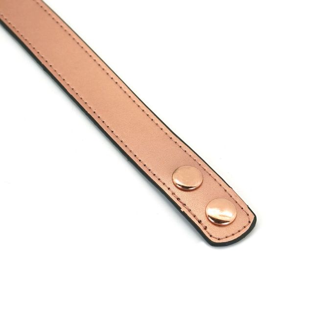 Нашийник із затискачами для сосків Liebe Seele Rose Gold Memory Collar with Nipple Clamps Рожево-золотий One Size SO9495 фото