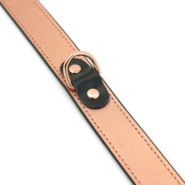 Нашийник із затискачами для сосків Liebe Seele Rose Gold Memory Collar with Nipple Clamps Рожево-золотий One Size SO9495 фото