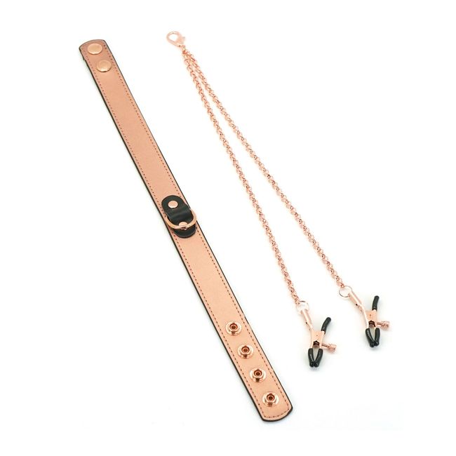 Liebe Seele Rose Gold Memory Collar with Nipple Clamps Rose Gold One Size