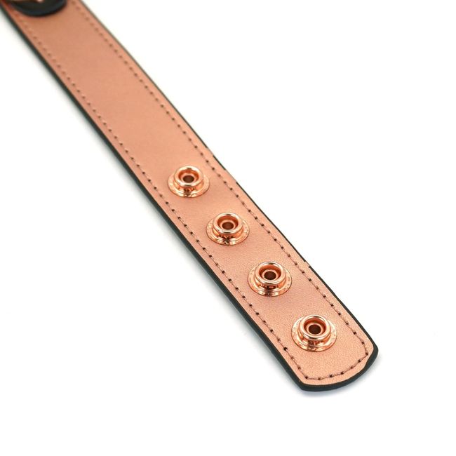 Ошейник с зажимами для сосков Liebe Seele Rose Gold Memory Collar with Nipple Clamps Розово-золотой One Size SO9495 фото