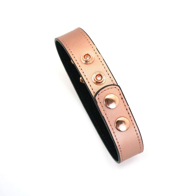 Liebe Seele Rose Gold Memory Collar with Nipple Clamps Rose Gold One Size