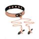 Нашийник із затискачами для сосків Liebe Seele Rose Gold Memory Collar with Nipple Clamps SO9495 фото 1