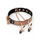 Нашийник із затискачами для сосків Liebe Seele Rose Gold Memory Collar with Nipple Clamps SO9495 фото 2