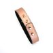 Liebe Seele Rose Gold Memory Collar with Nipple Clamps Rose Gold One Size