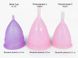 Менструальная чаша Femintimate Eve Cup размер L, диаметр 3,8см, для обильных выделений Розовый FM30541 фото 3