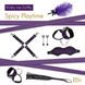 Подарочный набор для BDSM RIANNE S - Kinky Me Softly Purple: 8 предметов для удовольствия SO3865 фото 2